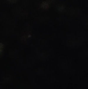 Meet your Posher, Vedika